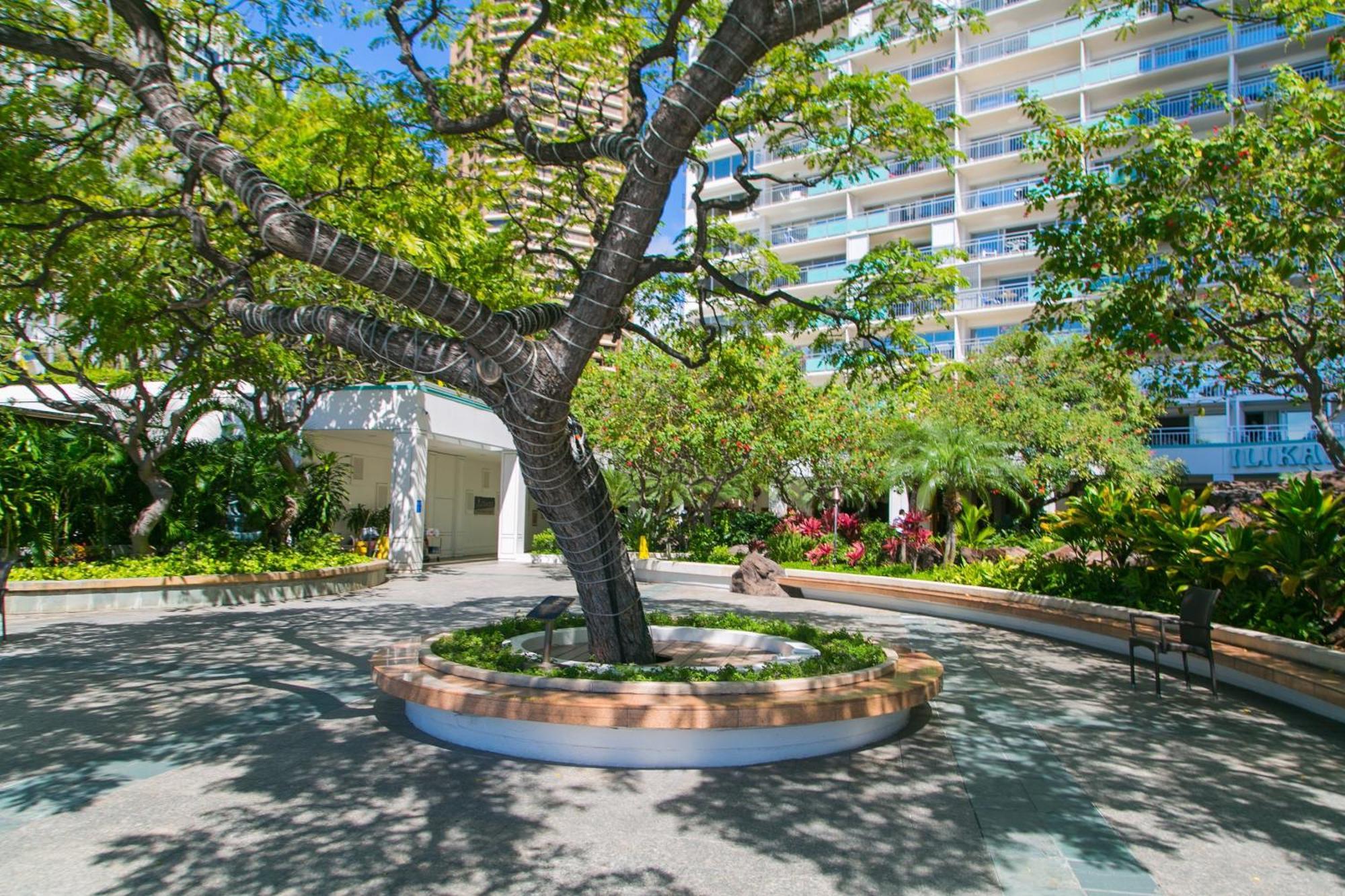 Ilikai Tower 1340 Lagoon View 1Br Хонолулу Екстериор снимка